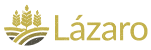 Imagen: lazaro-pasteleros-logo-web-solo-lazaro-03-300x100.png